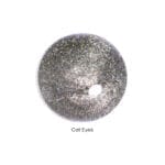 Cat Eye6