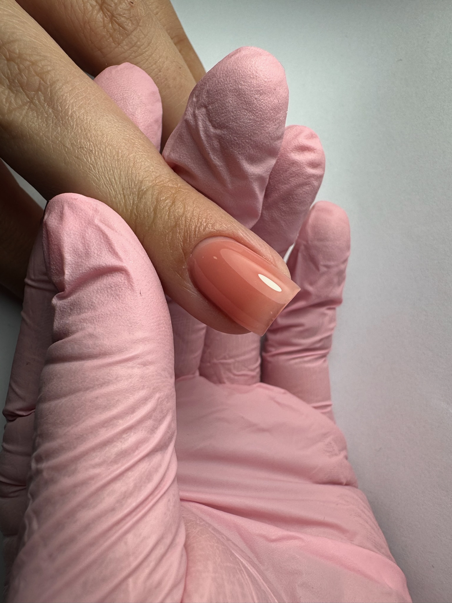 בייסיק הארד בייס 33